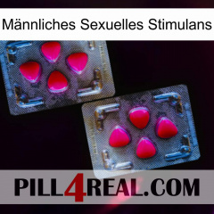 Männliches Sexuelles Stimulans 15